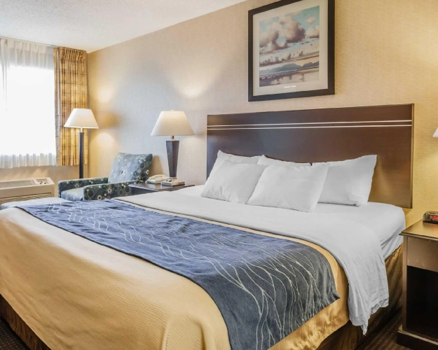 Standard room with view