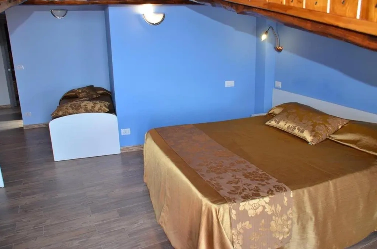Standard Double room with balcony and with sea view