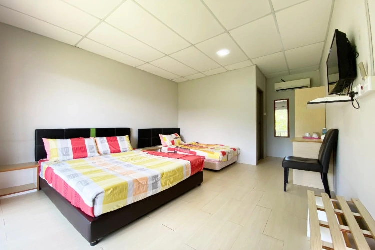 Standard Triple room