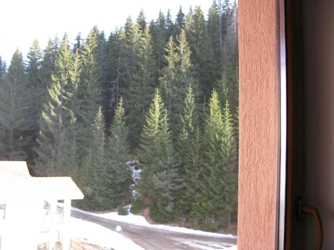 1 Bedroom Apartment with balcony