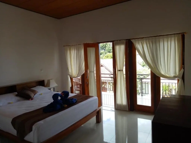 Deluxe Double room with balcony and with view