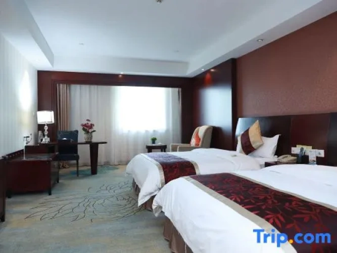 Executive Twin room