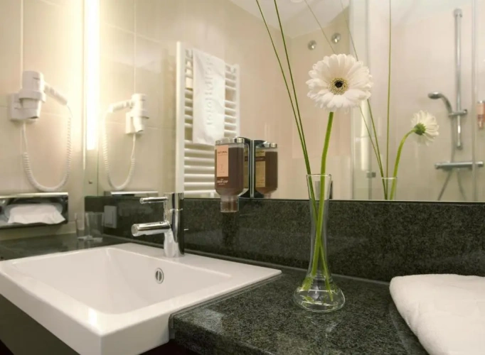 Business Twin room