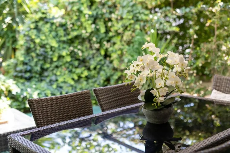 2 Bedrooms Apartment with garden view