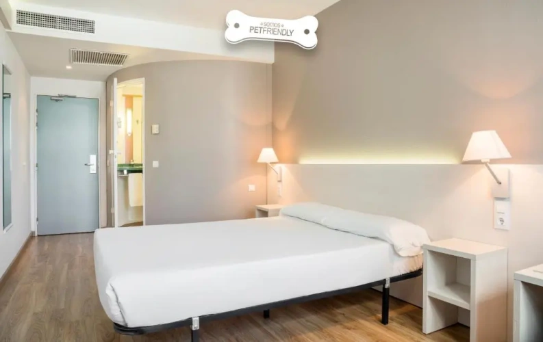 Pet friendly Twin room