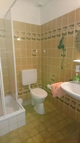 Comfort Double room with balcony and with mountain view