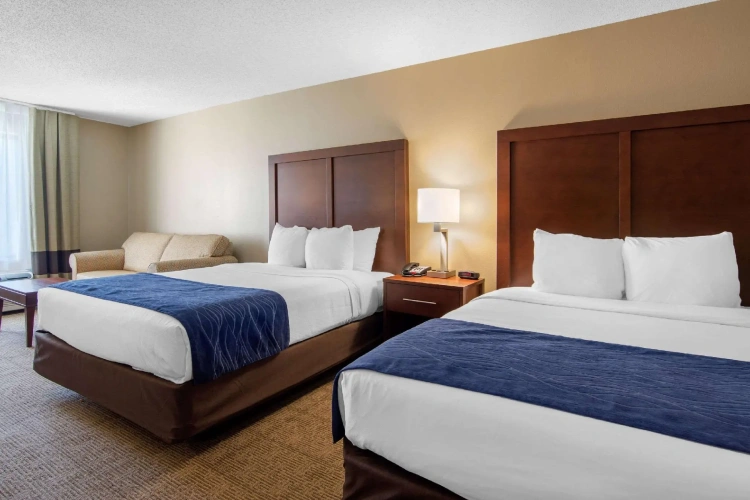 Quadruple Suite