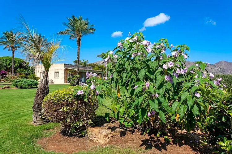 Geco Resort