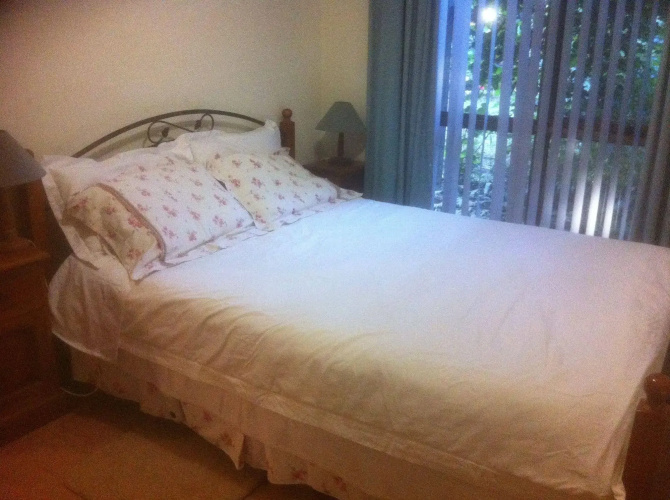 Blueberry B & B