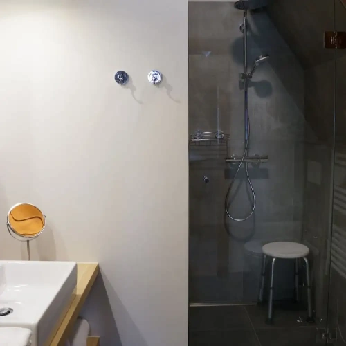 Deluxe Penthouse Suite