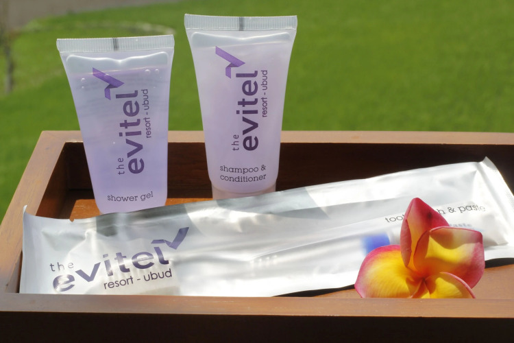 The Evitel Resort UbudOver view