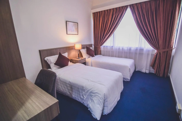 Standard Double room with balcony and with view