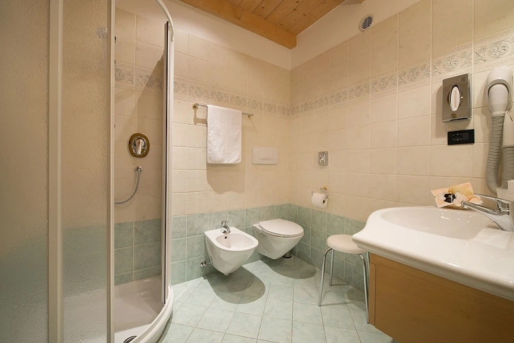 Deluxe Attic room