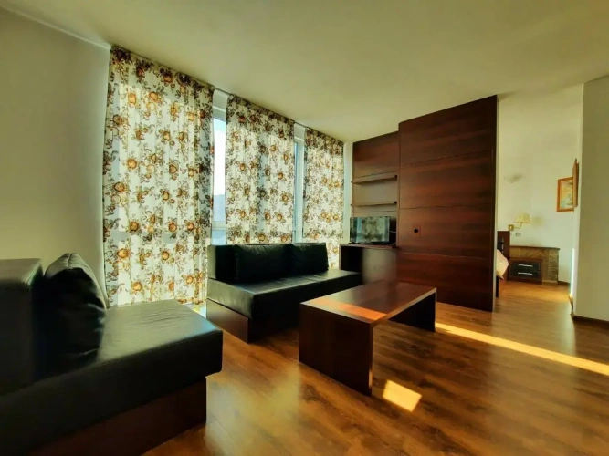 Luxury Suite with balcony and with view