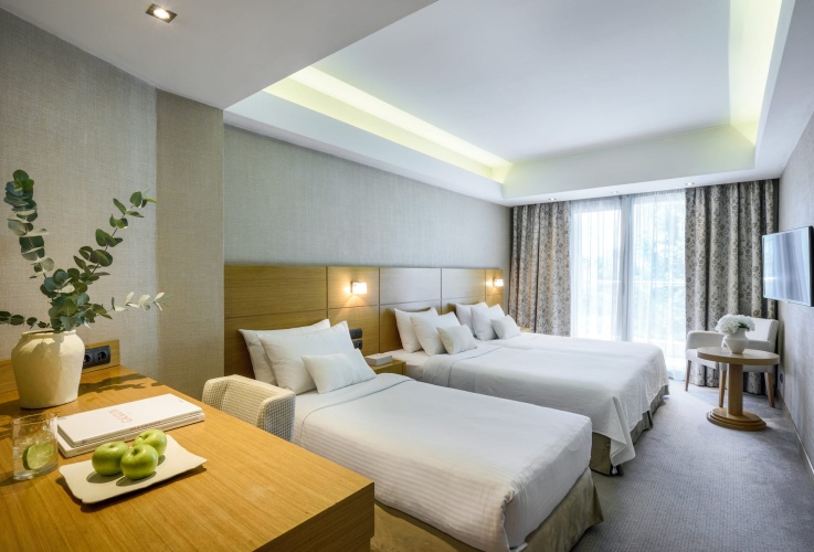 Deluxe Triple room