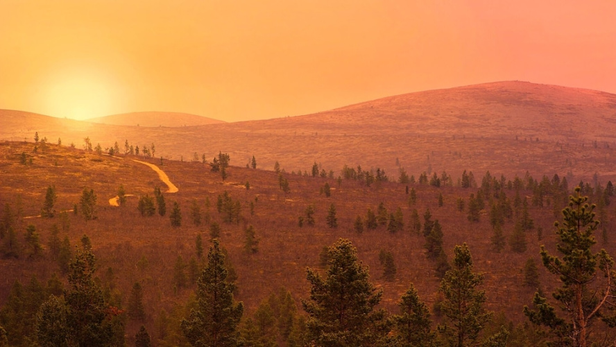Wilderness Hotel Kieppi
