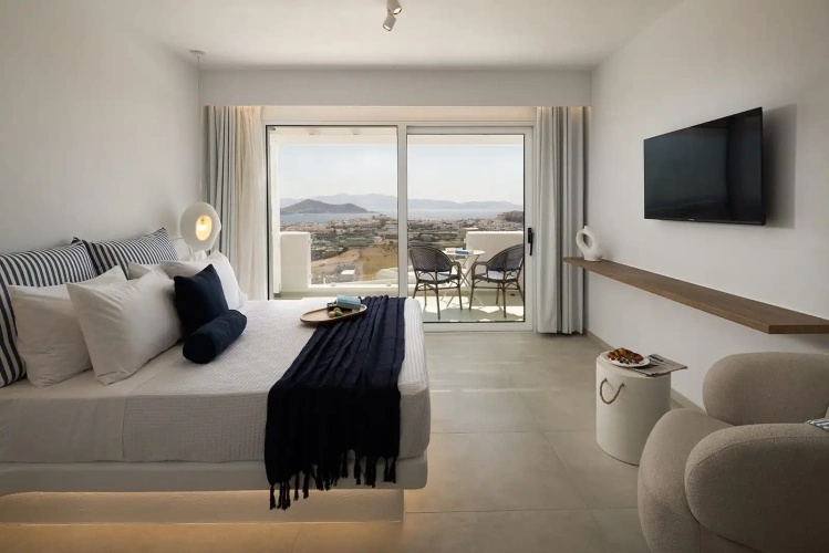 Deluxe Suite