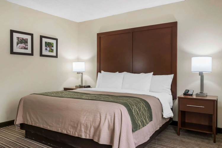 Comfort Inn - Pocono Mountains
