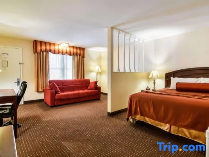 Quadruple Suite