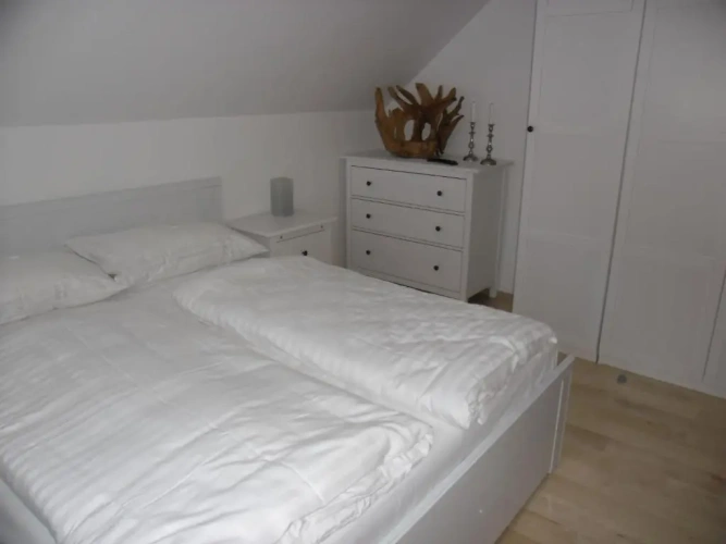 Double Apartment