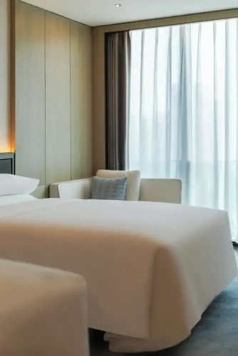 Deluxe Twin room with city view