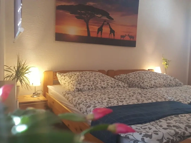 1 Bedroom Apartment with balcony