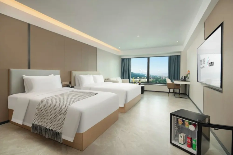 Standard Double Family room with city view