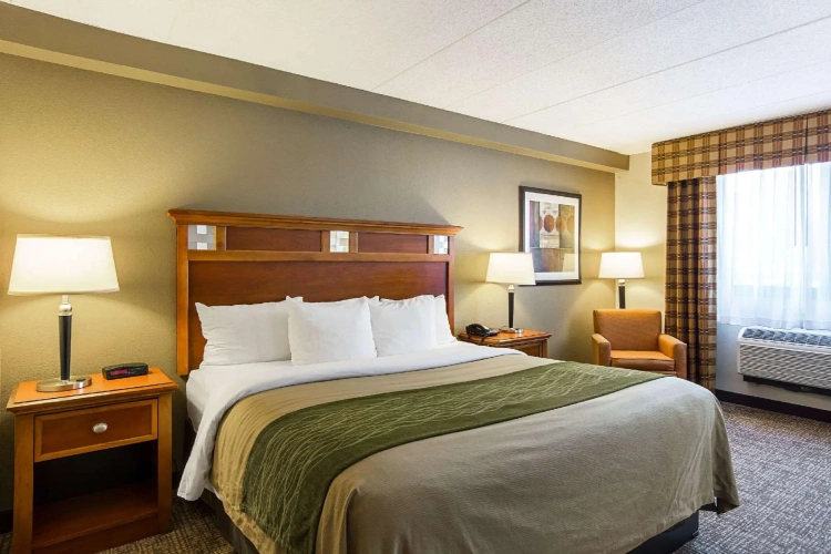 Standard Double room