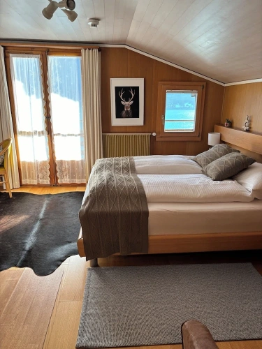 Standard Double room with balcony and with lake view