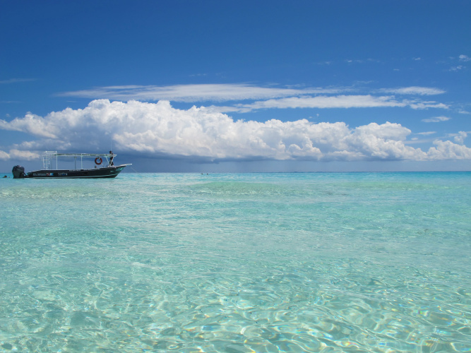 The Reef Playacar Resort & Spa photo 23