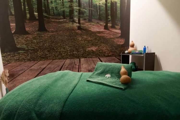 Olive Nature Hotel & SPA - Quinta Valle de Passos