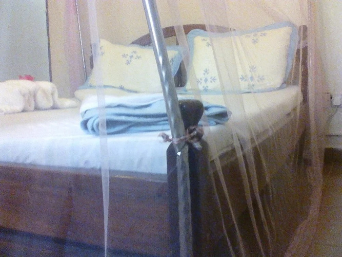 City Park Hotel