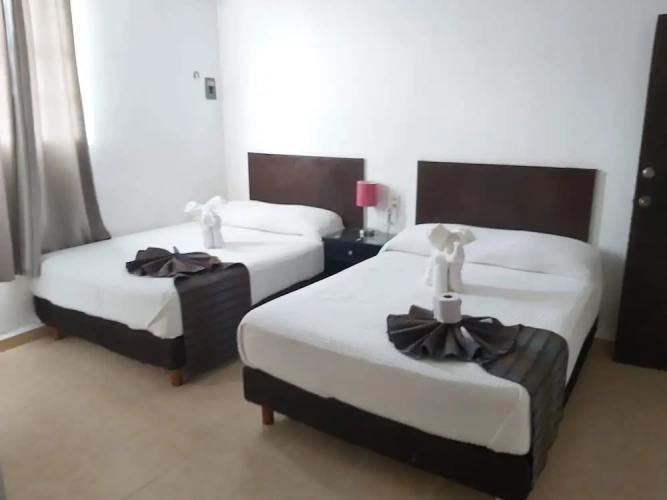 Executive Quadruple Suite