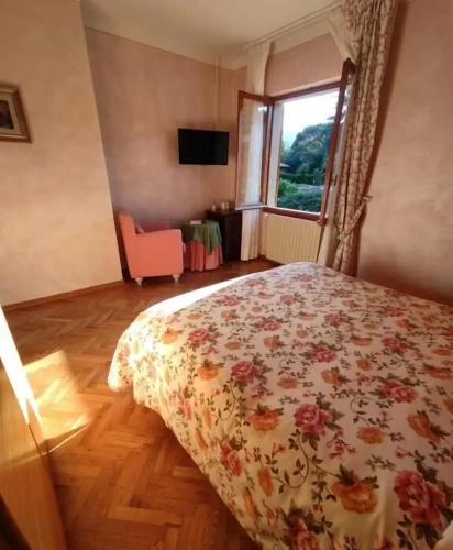 Deluxe Double room with garden view