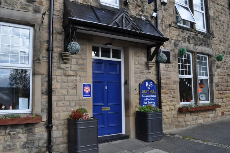 The Grey BullOver view