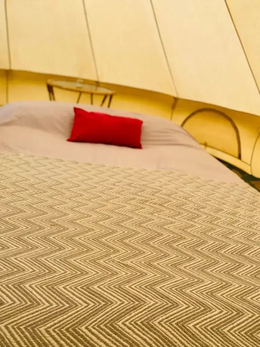 Elm - Bell Tent 2-4 Person Anglesey, North Wales