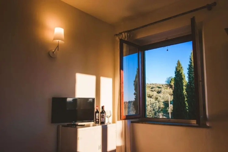 1 Bedroom Standard Double Basement room