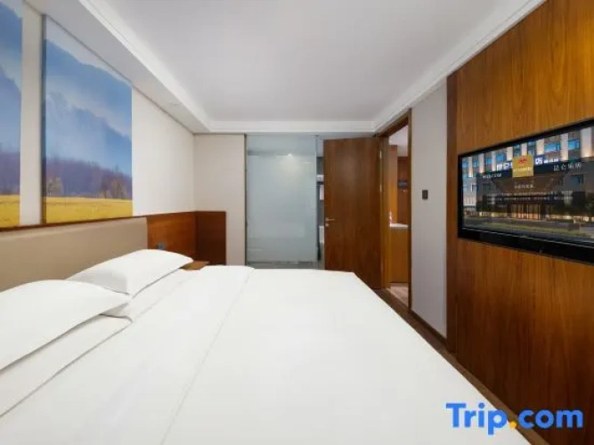 1 Bedroom Executive Suite