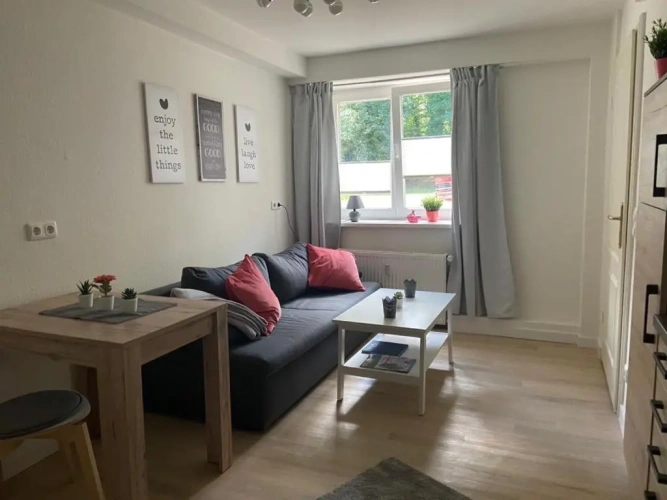 1 Bedroom Apartment