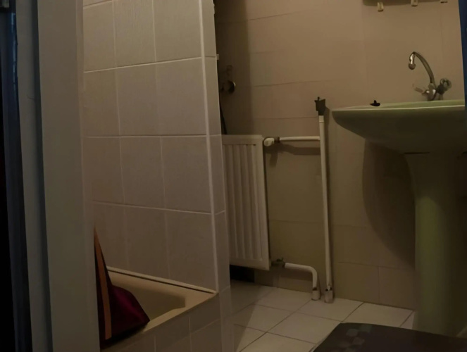 Apartman David