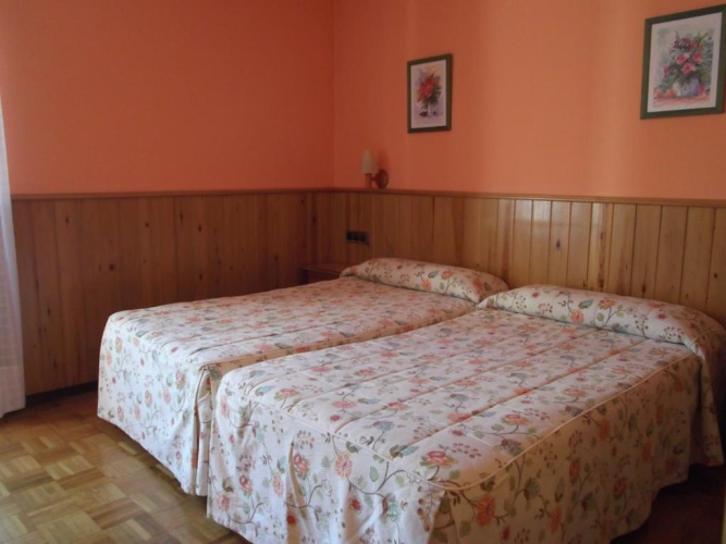 Standard Double room with mountain view