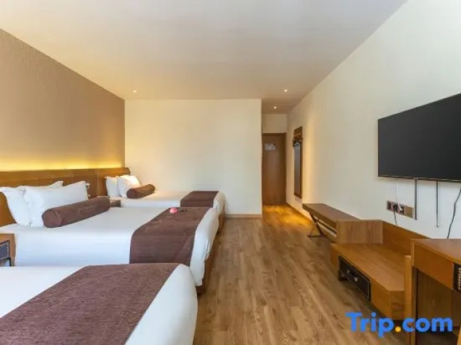 Standard Family Suite