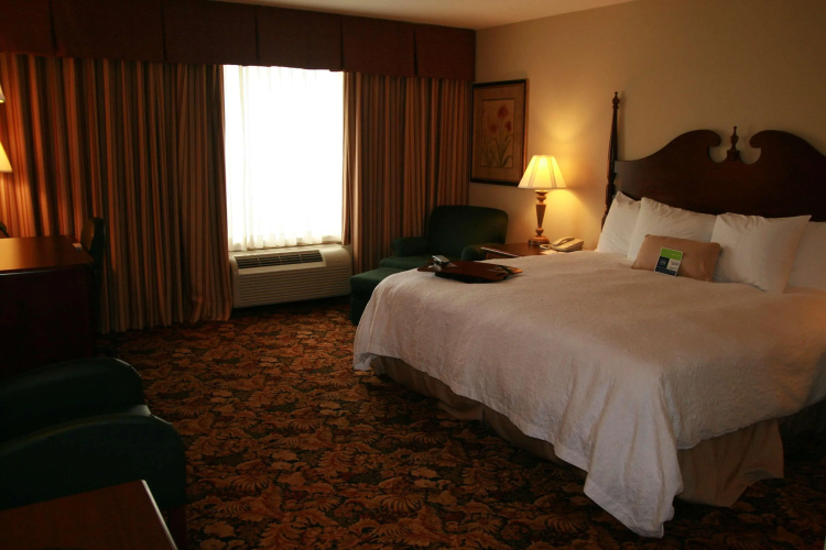 Hampton Inn & Suites Del Rio, Tx