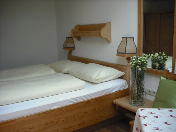Standard Double room with balcony and with mountain view