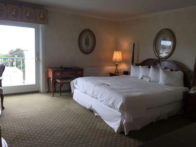 Deluxe Double room with balcony and with lake view