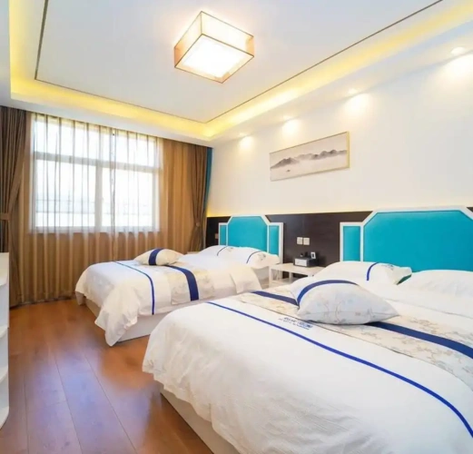 Standard Twin Club room