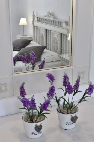 Standard Double room with garden view