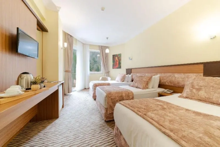 Standard Triple room with balcony