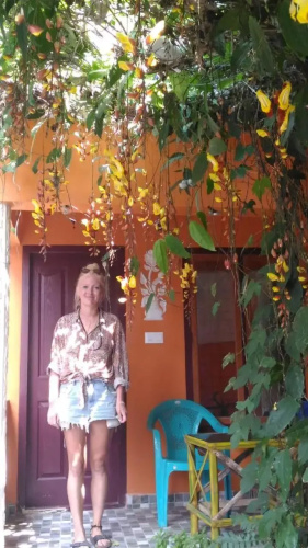 Jungleparadiso hostel