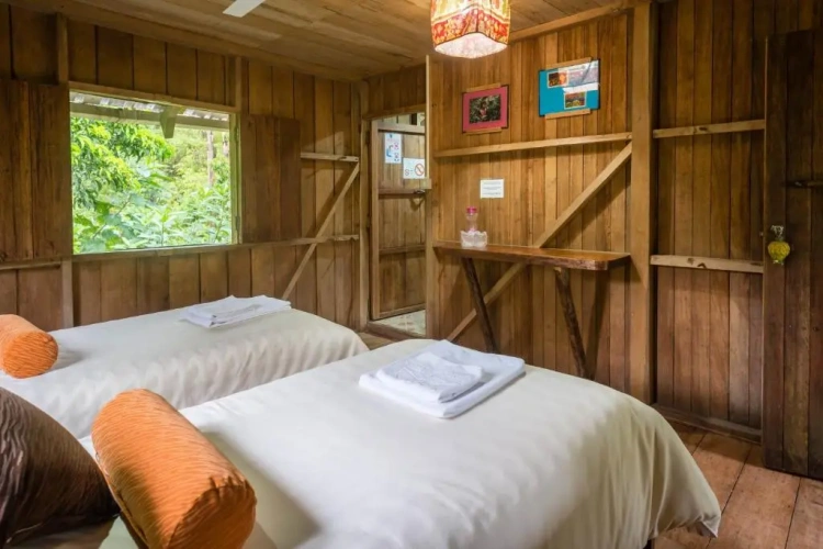 Standard Double room with garden view
